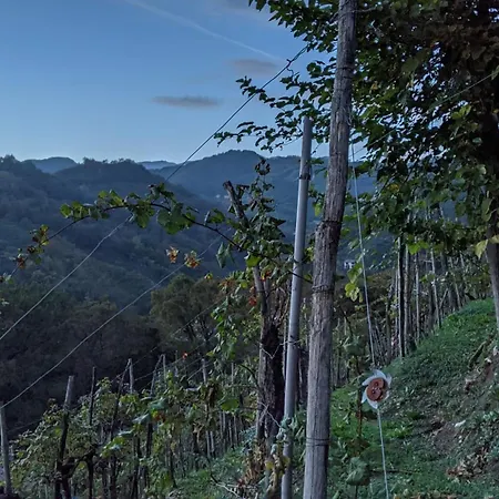 El Zhigol 住宿加早餐酒店 4*