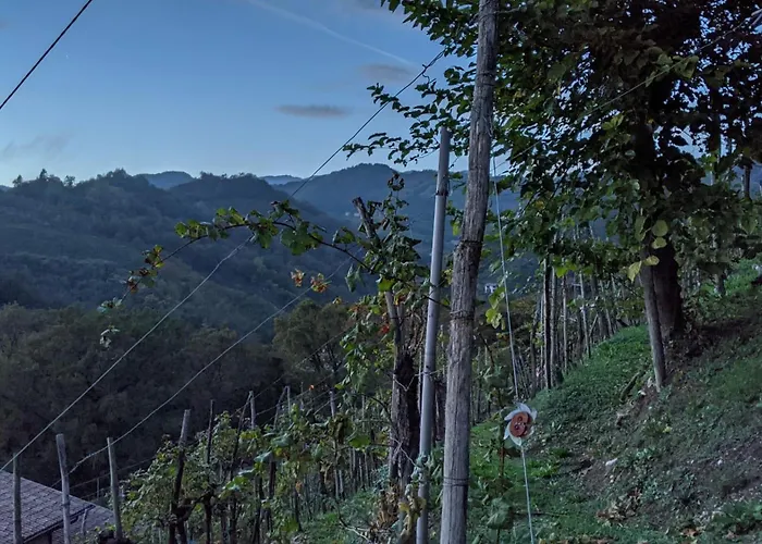 El Zhigol Bed & Breakfast 4*